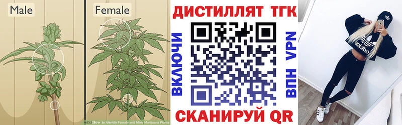 купить  сайты  Мелеуз  Дистиллят ТГК гашишное масло 